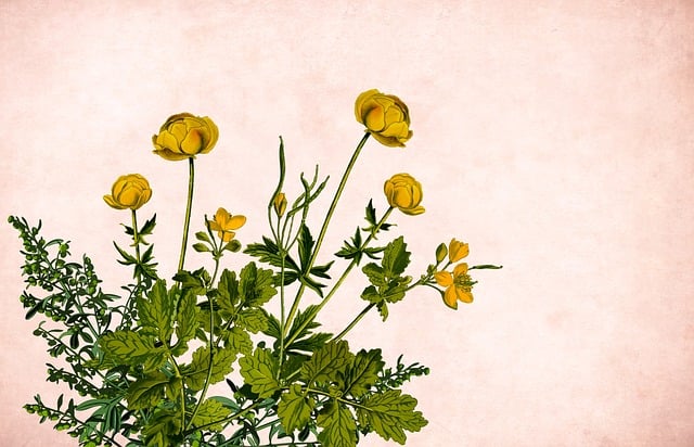 Minnie Mathis tweet media