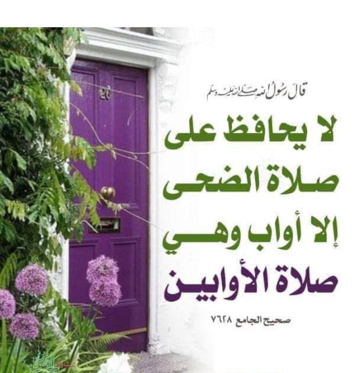 الأوَّاب 🇴🇲 tweet media