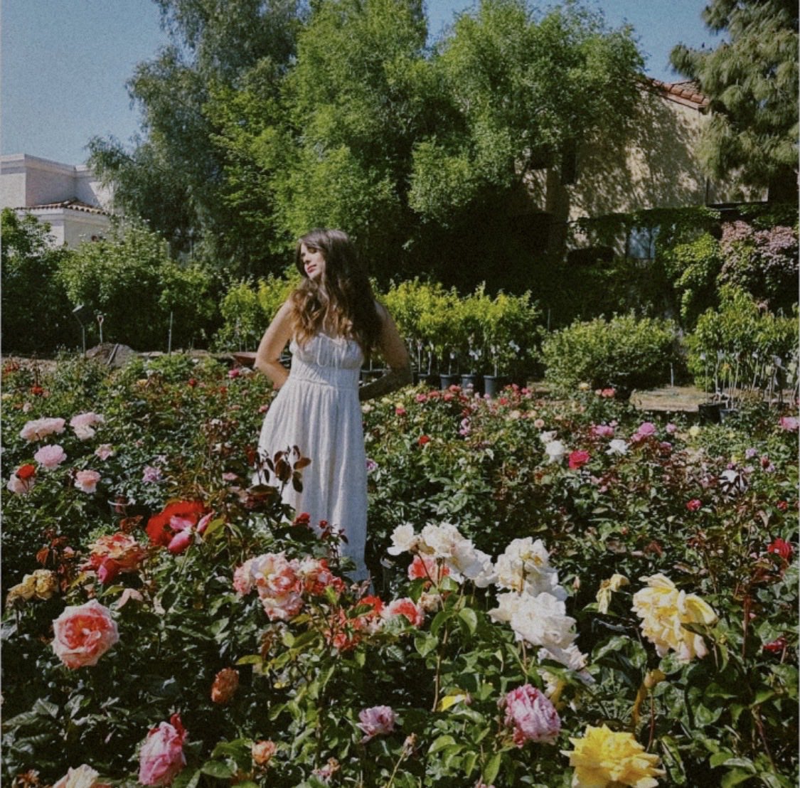 ⠀        
⠀                     ⠀        
⠀                         it’s always about flowers
⠀                     ⠀        
⠀