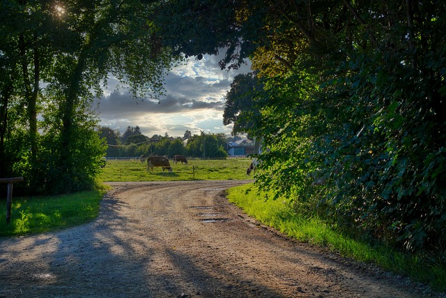 Devin Abramson tweet media