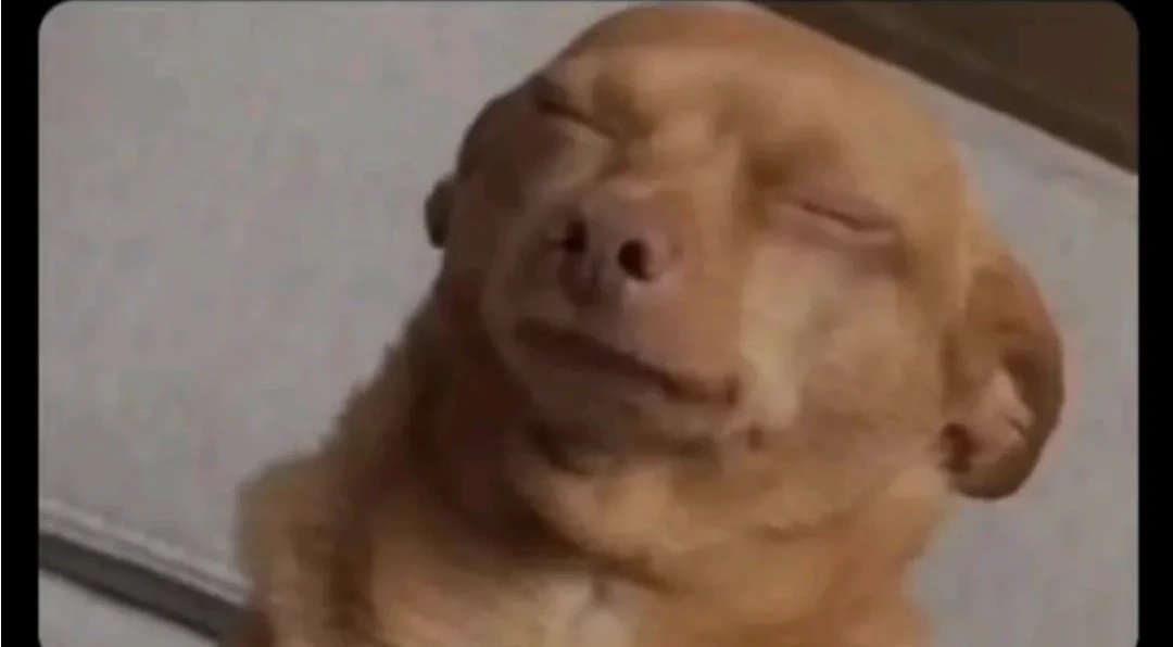 Rastafarian_culture tweet media