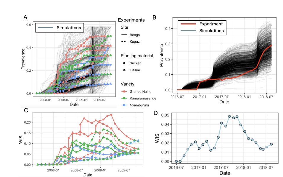 Now published at Mathematical Biosciences: "Parameterisation of epidemiological models from small field experiments: a case study of banana bunchy top virus transmission". sciencedirect.com/science/articl…