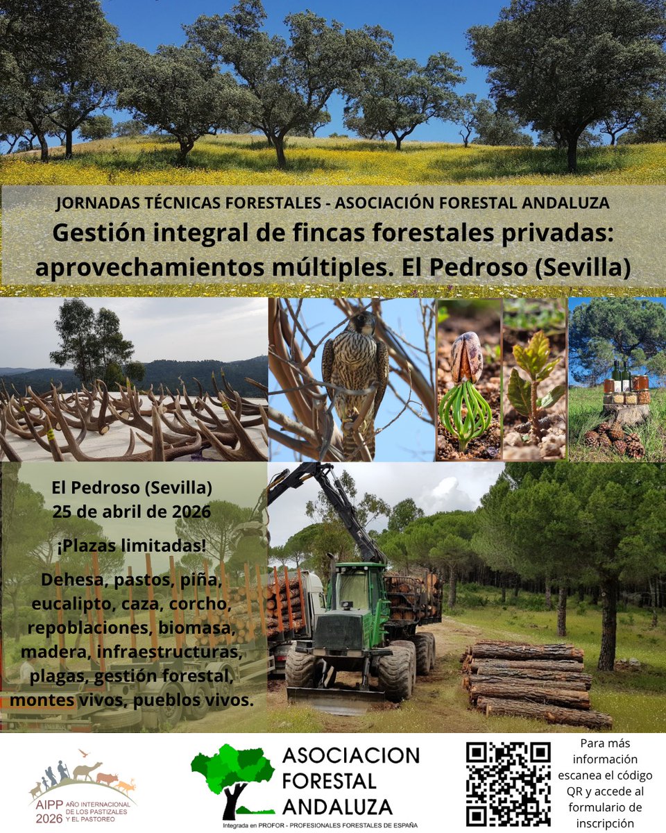ASOCIACIÓN FORESTAL ANDALUZA tweet media