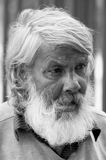 Evan Abramson tweet media