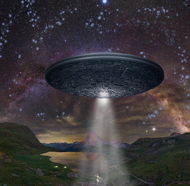 Claudia Bradshaw tweet media