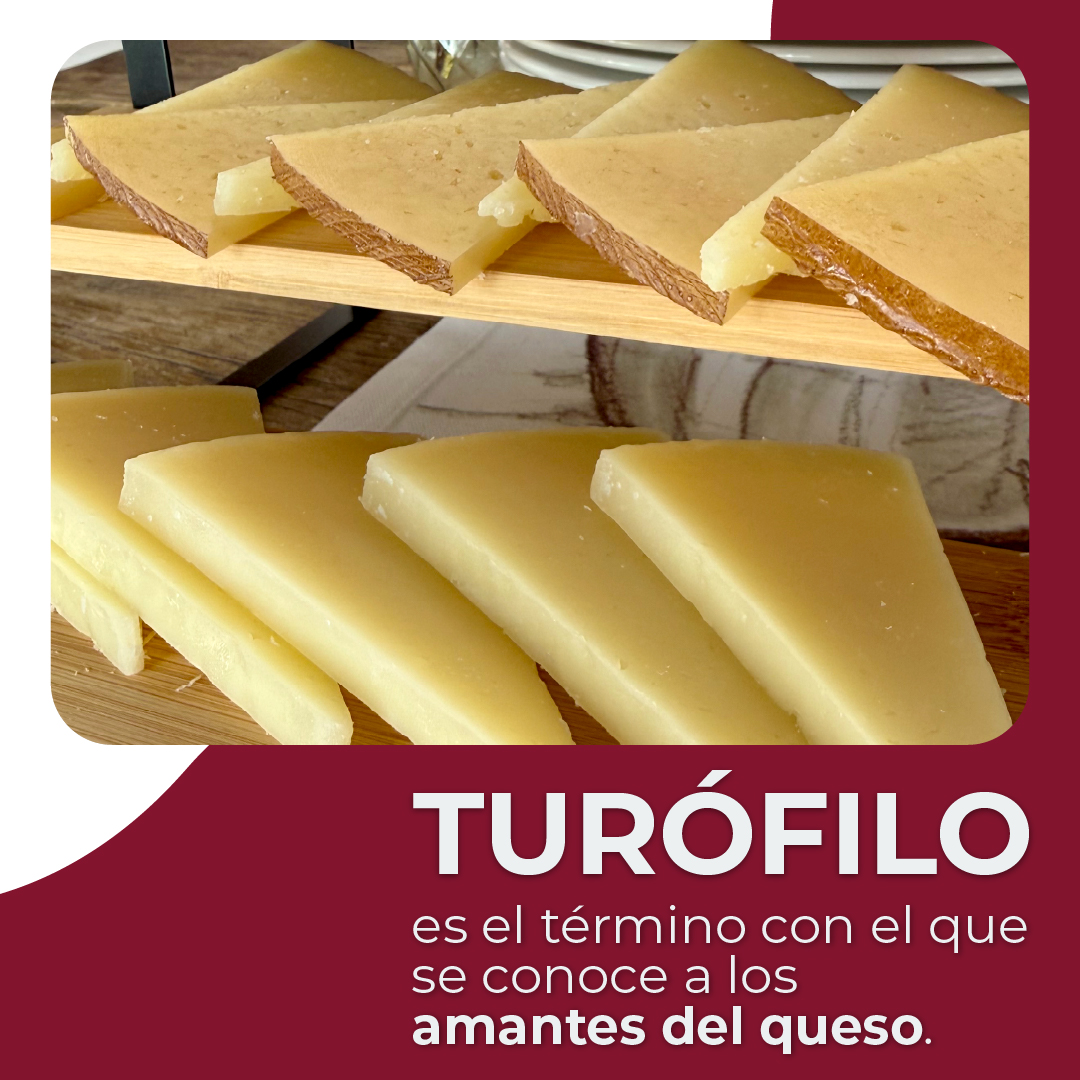 QuesoManchegod's tweet image. ¿Eres un verdadero turófilo? ¿Tanto como para saber que ese término hace referencia a los amantes del queso? 🧀

#QuesoManchegoDOP #CheeseLover