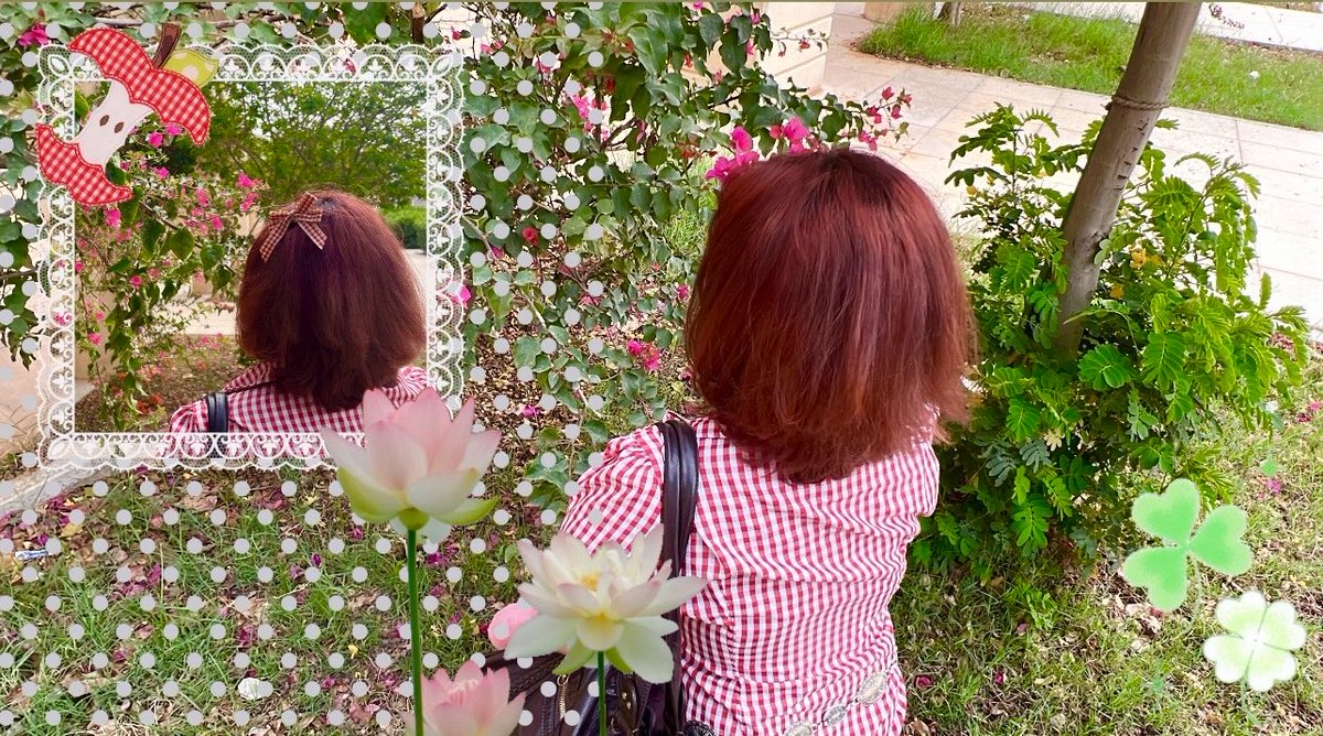 the spirit tweet media