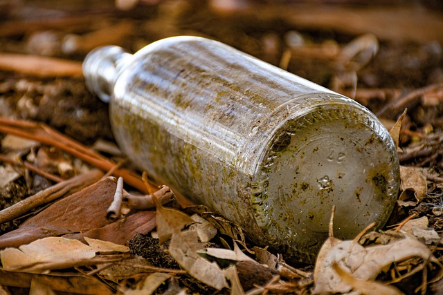 Tristan Freeman tweet media