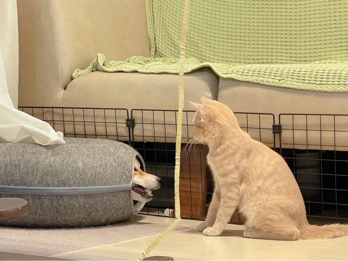 de, ☘︎ ݁ tweet media