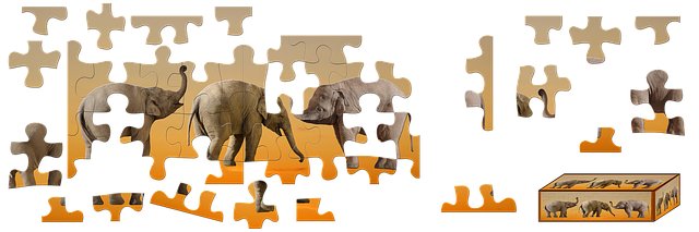 Sheryl Nguyen tweet media