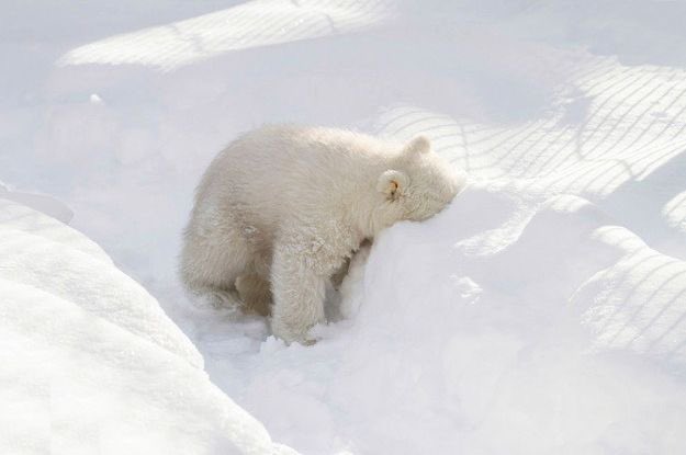 𝖈𝖆𝖙𝖔 tweet media