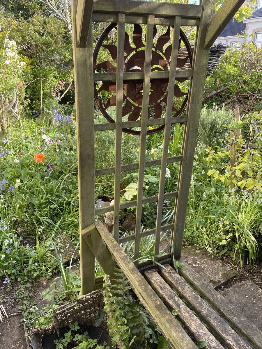 helen21206699's tweet image. Good morning from a lovely #sunny day in my little #cottage #garden