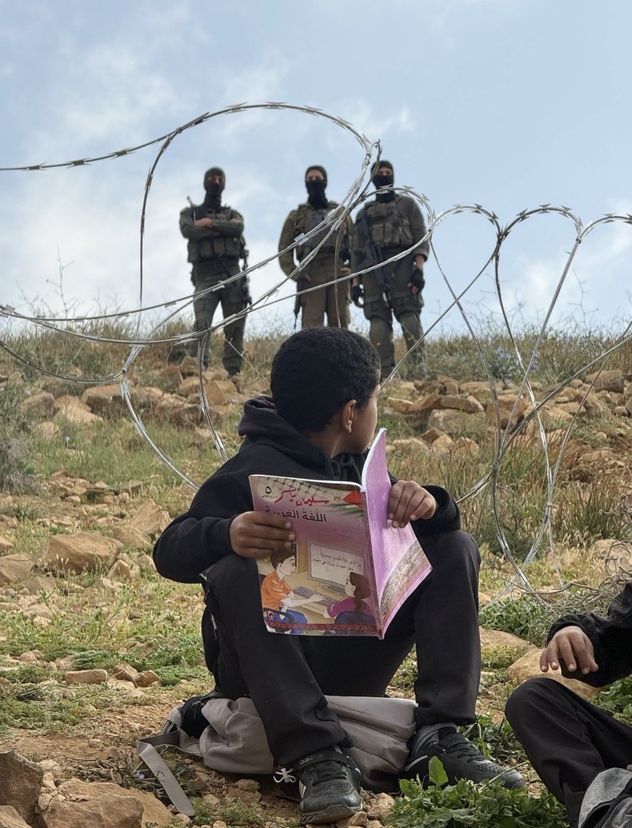 mostro ✊🏼  🇵🇸 tweet media