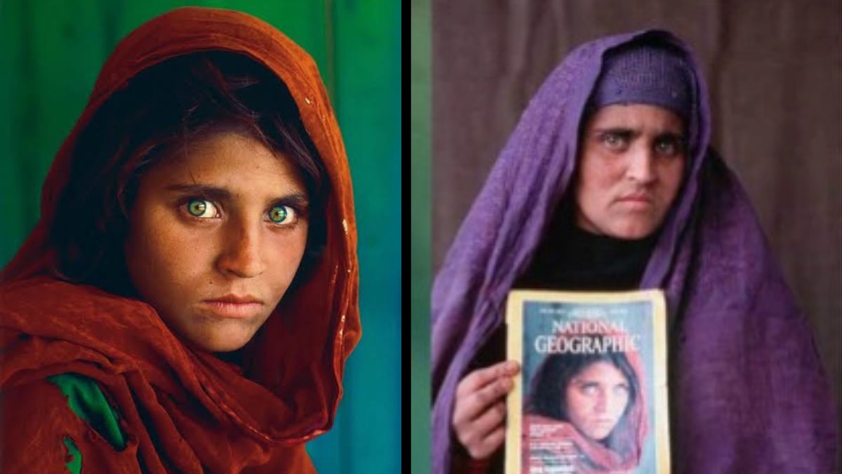 Dr. Lemma tweet media