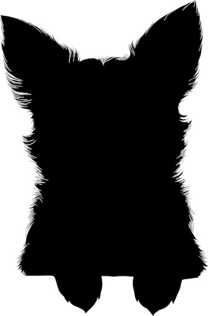 Ralph Fitzgerald tweet media