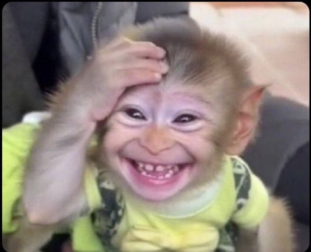 Biggest vibes tweet media