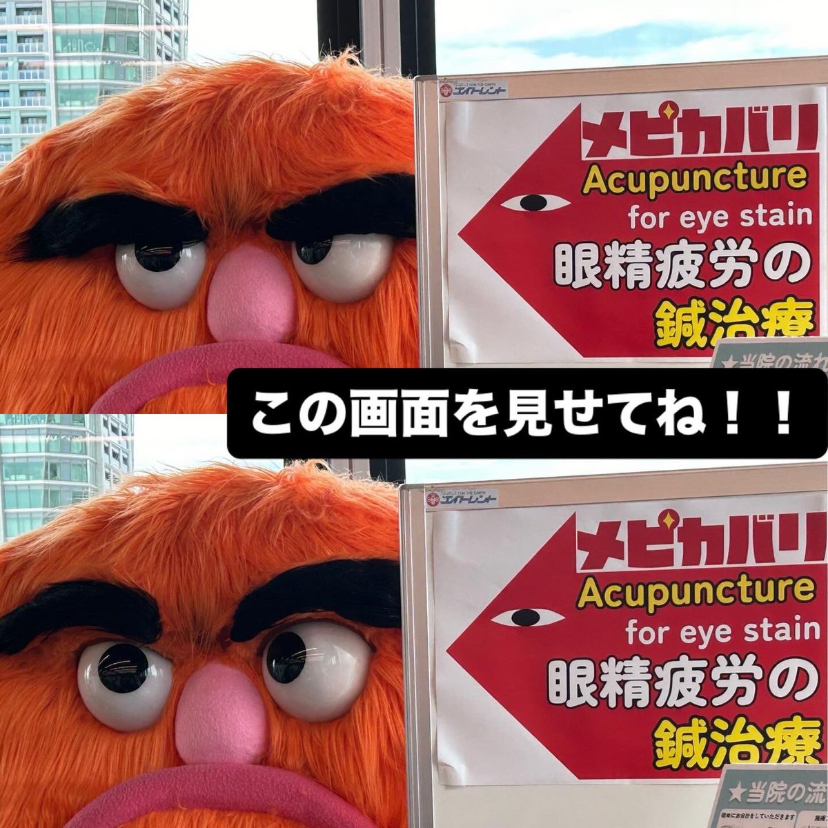 目光針院メピカバリ👀✨恵比寿/目のお悩み専門クイック鍼治療院 tweet media
