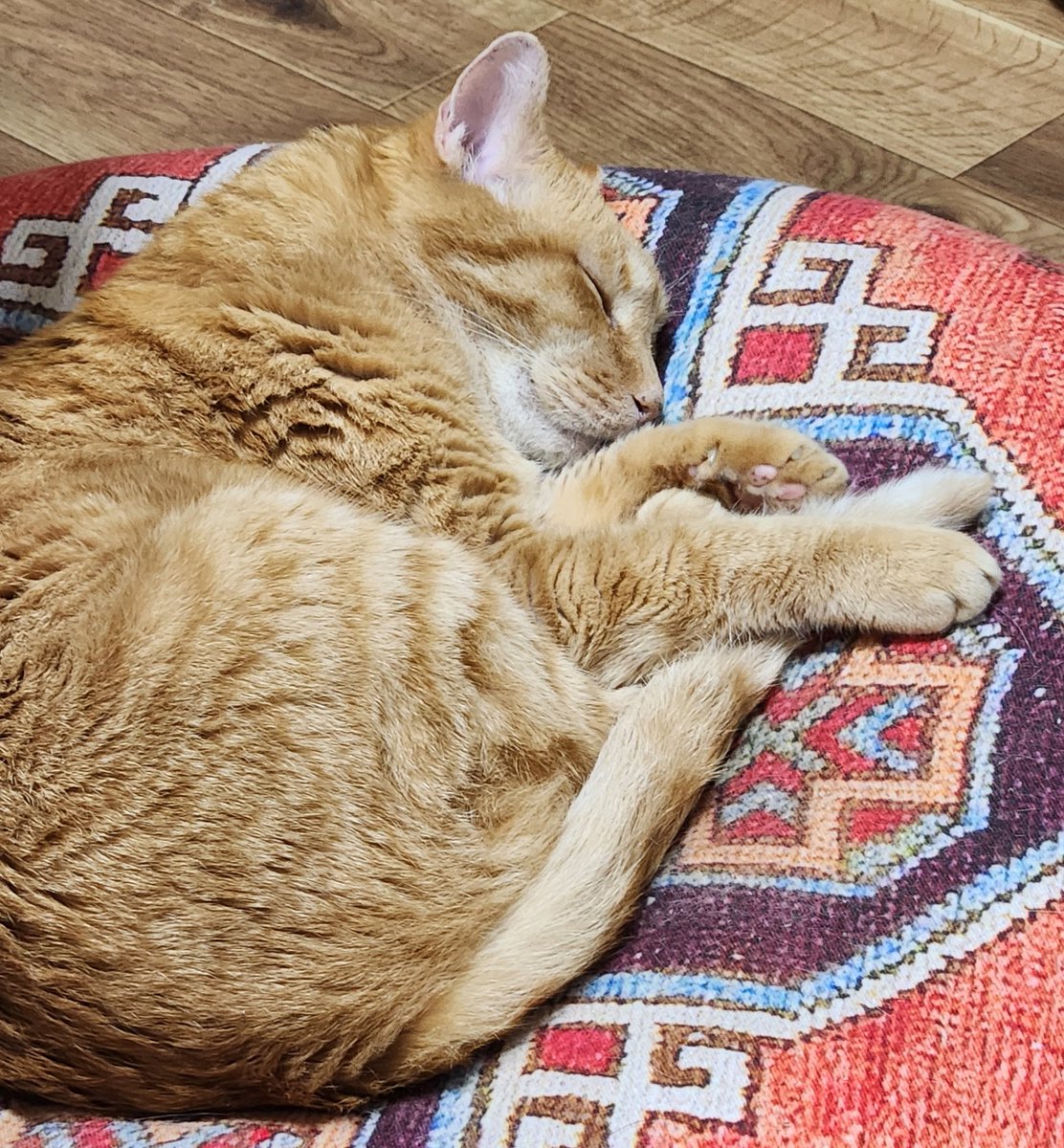 𝕄‌𝕀‌𝕂‌𝕂‌𝕀‌. tweet media