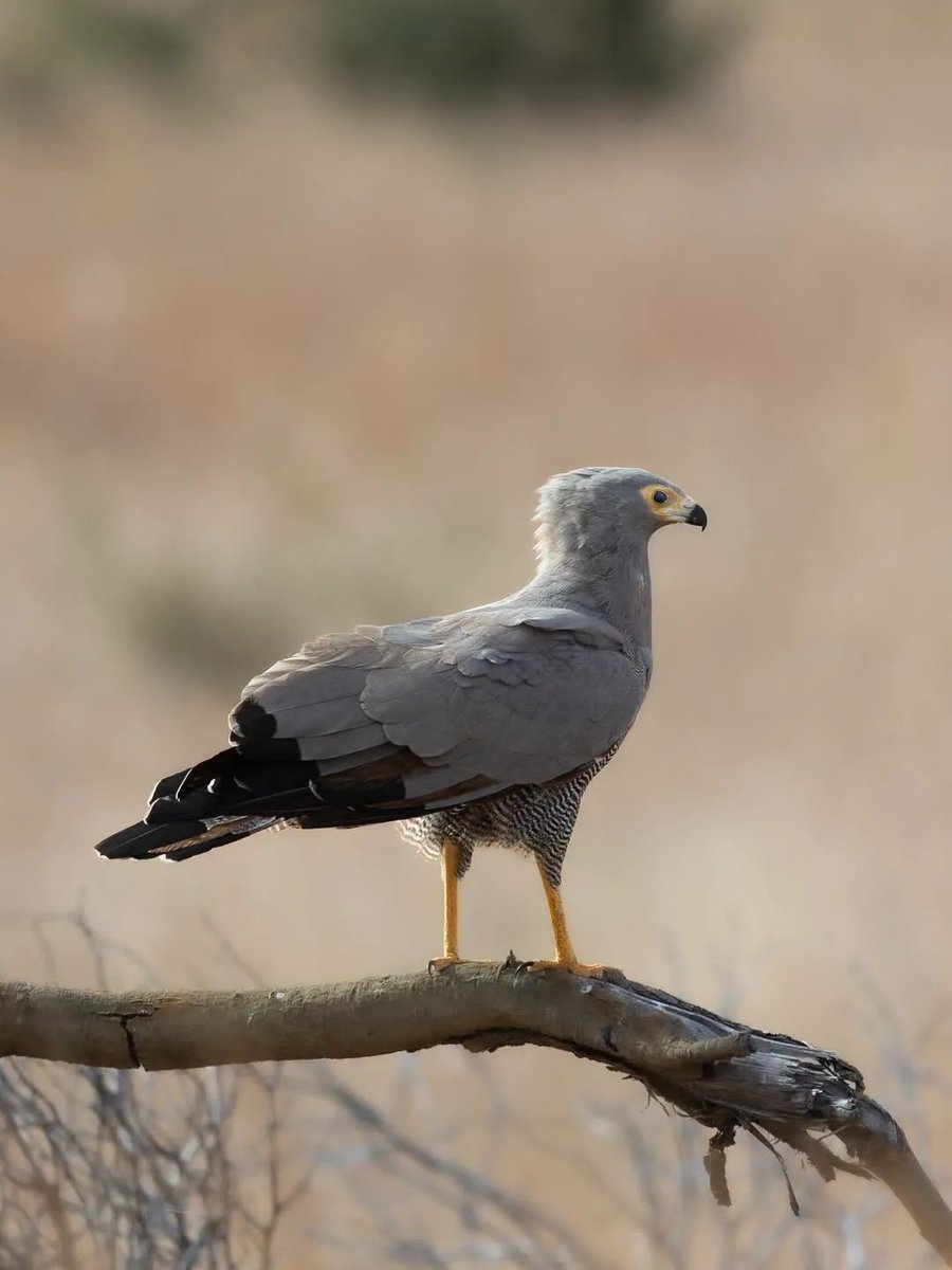 Profound Travel and Tours tweet media