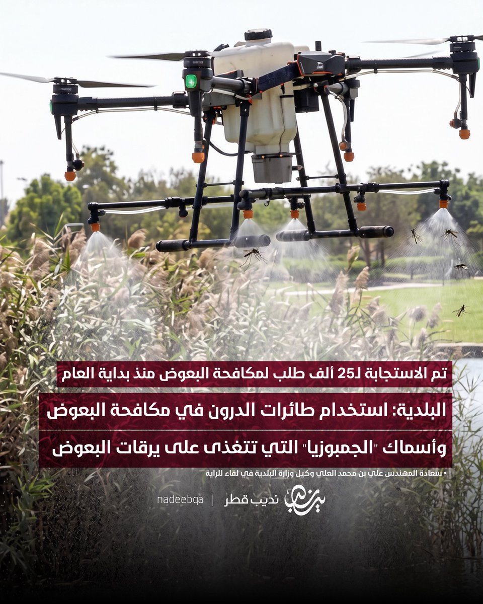 🦟🚫🛰️

طائرات الدرون وأسماك الجمبوزيا لمكافحة البعوض

سعادة م. علي بن محمد العلي وكيل وزارة البلدية للراية:

استخدام أحدث التقنيات لمكافحة البعوض ومنها طائرات الدرون لتنفيذ أعمال الرش في المناطق الواسعة أو التي يصعب الوصول إليها وأسماك الجمبوزيا التي تتغذى على يرقات البعوض في