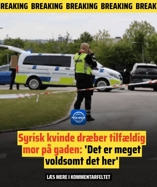 Nickolei Granell tweet media