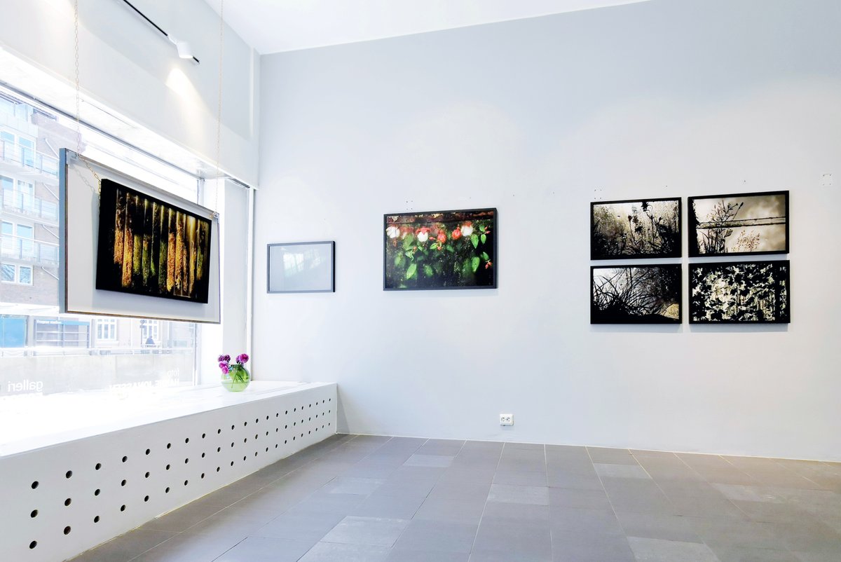 janbarstad's tweet image. I Galleri Fotoblikk i Kirkeveien i Oslo finner du bildebevis for at man kan la seg inspirere av naboens drivhus. I dette tilfellet på øya Runde på Sunnmøre! 🥳 gallerifotoblikk.no/utstilling/ing… #folk #kreativitet #inspirasjon #fotografi #Oslo #Norge