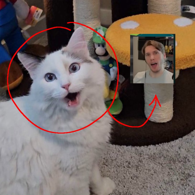 jerma and frankie are kinda the same