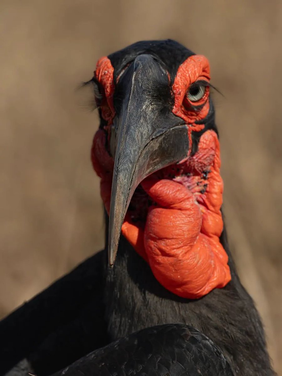 Profound Travel and Tours tweet media