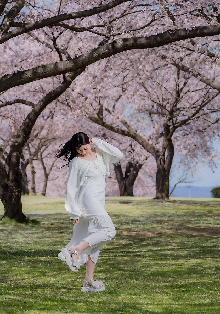 tottotomal's tweet photo. ：In frame:  haruna さん
Location: 長野県

#桜　#🌸
#portrait #ポートレート
#ファインダー越しの私の世界
#カメラマン #フォトグラファー
#松本市
#出張撮影  #撮影依頼 承ります。 https://t.co/soylk9q7wB