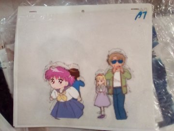 きんぎょ注意報！ 』1991-1992年 セル画をキャラクター別に保管してい 