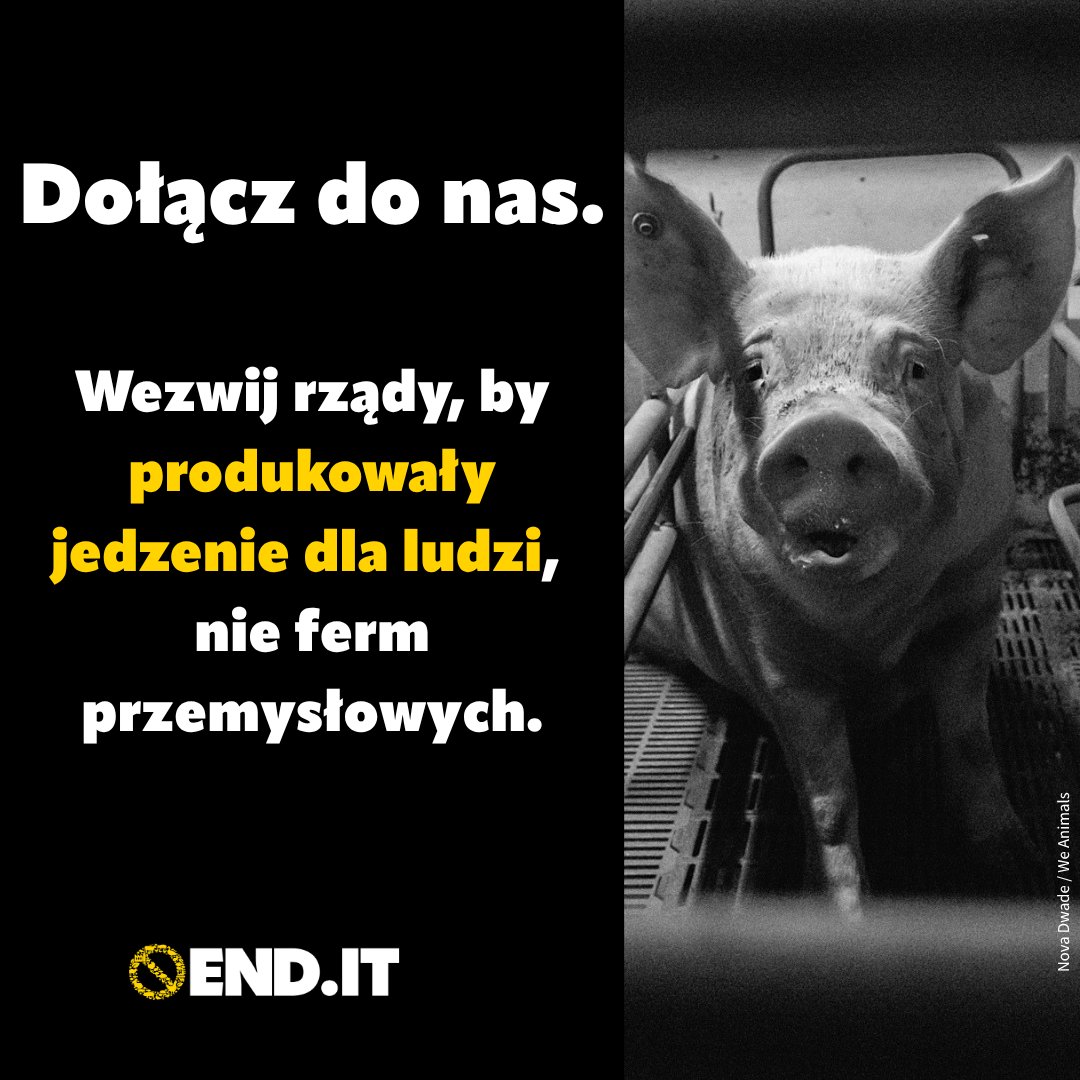 Compassion Polska tweet media