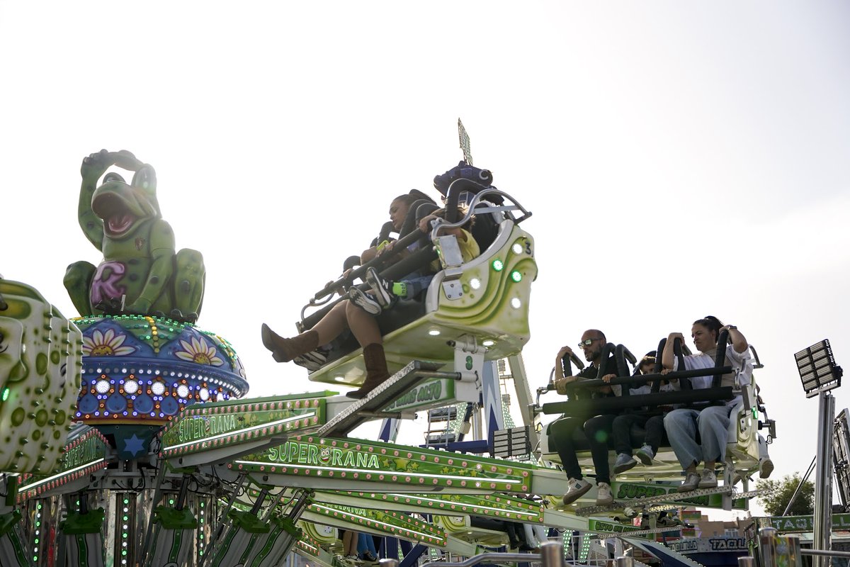 Mercats de Tarragona tweet media