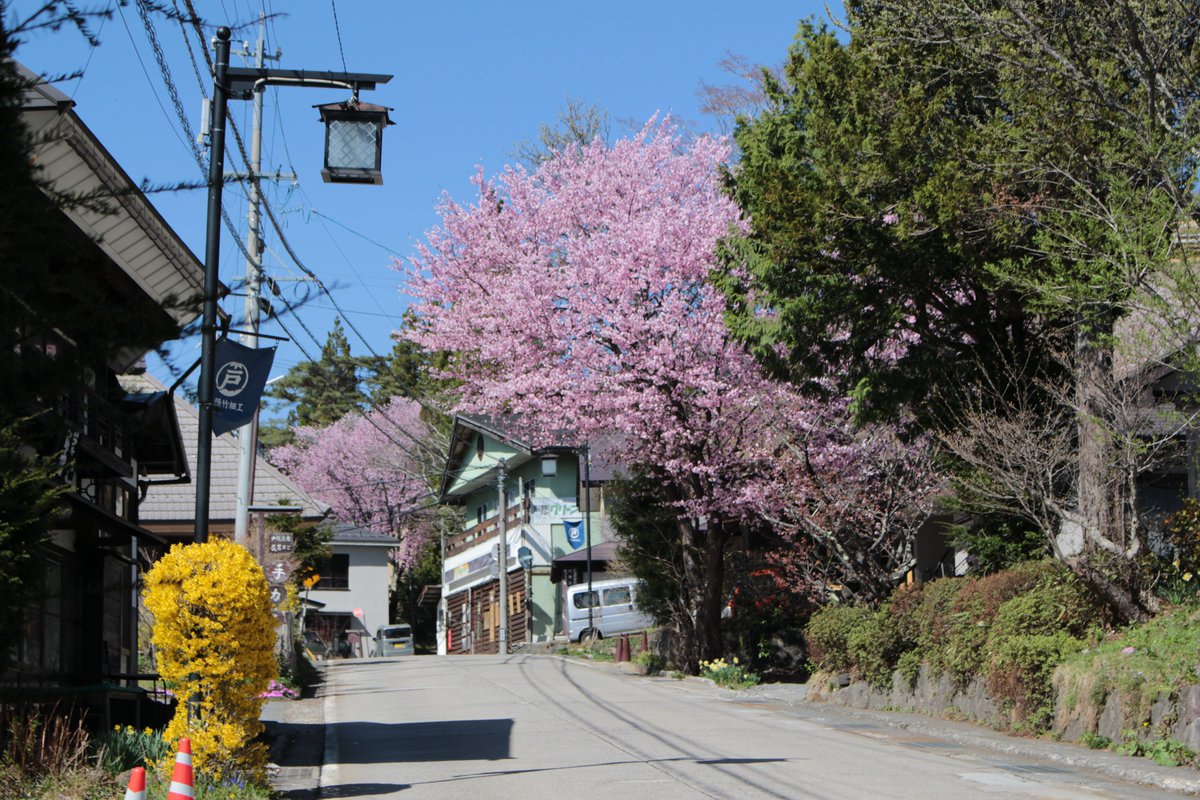 戸隠観光協会 tweet media