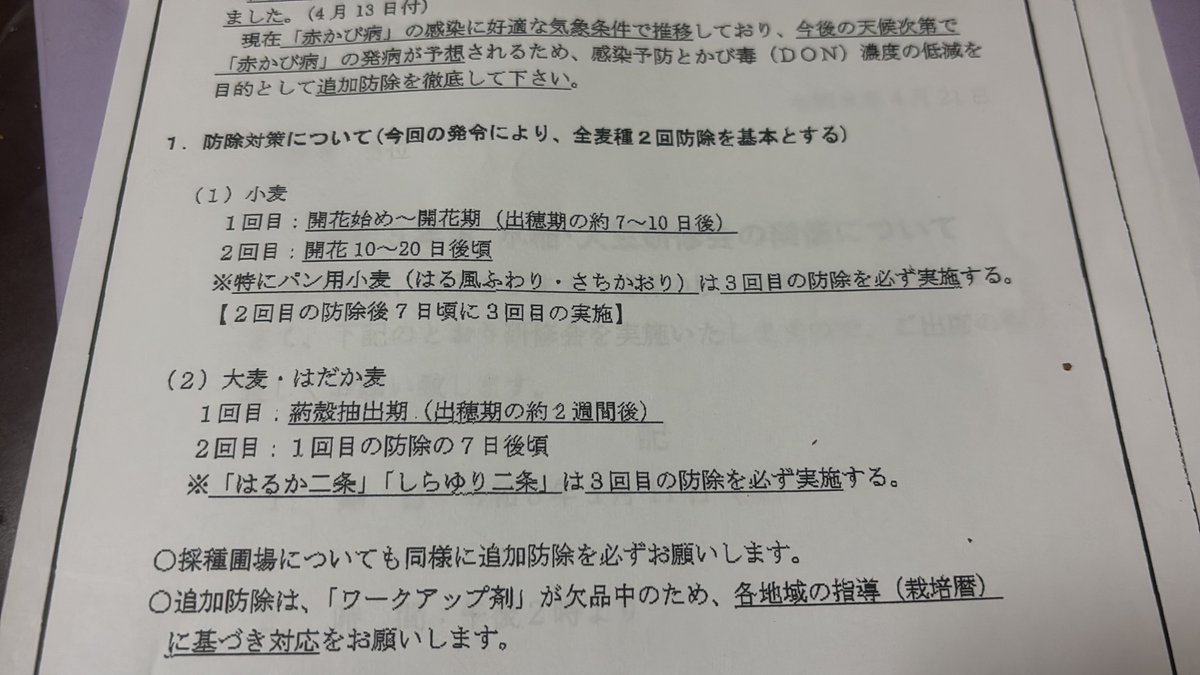 Nōka マッ tweet media
