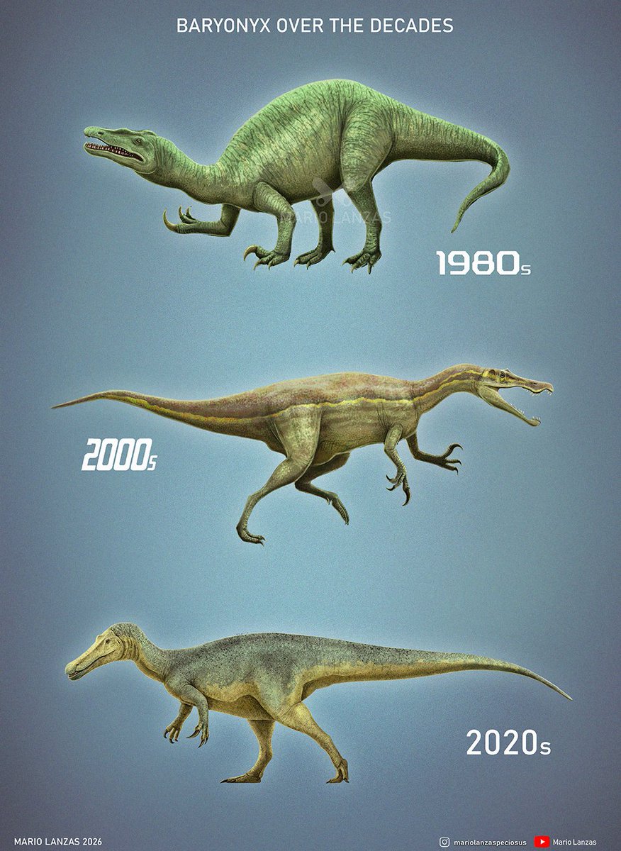 mariolanzas5's tweet image. BARYONYX , from my ✨new✨ video: youtube.com/watch?v=7UkbUa…  on How our perception of prehistoric animals evolved over the decades #baryonyx #dinosaurs #paleoart #paleontology #history