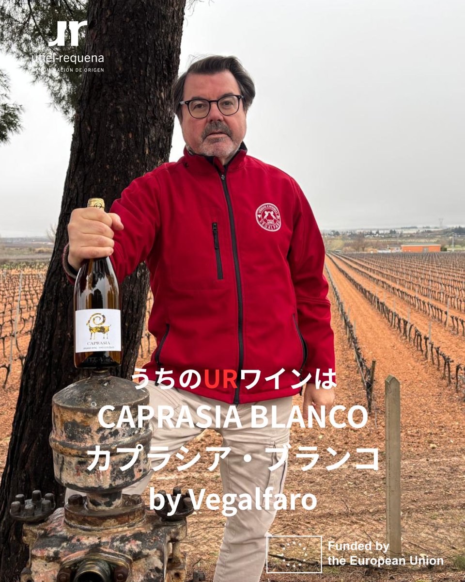 UtielRequenaJP's tweet photo. 【うちのURワインシリーズ】CAPRASIA BLANCO 2025 by Vegalfaro

ベガルファロから、「カプラシア・ブランコ 2025」をご紹介。
このワインは、この産地で多く栽培されているマカベオを75％、シャルドネを25％使用。
［...］

https://t.co/qnYasPKAbQ

Funded by European Union

#FundedbyEU https://t.co/t0UHiUqyLk