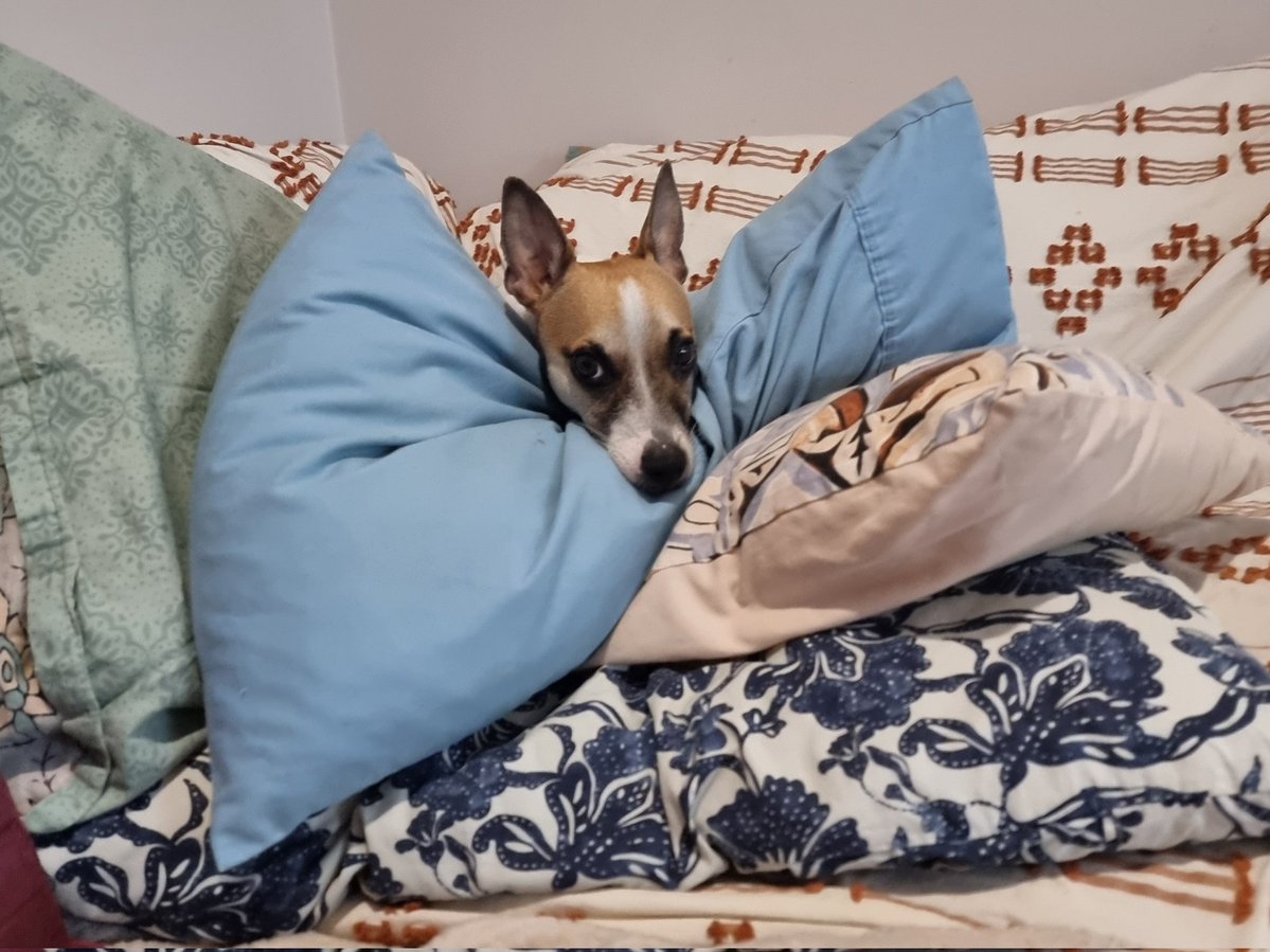 My friend, Peter 🙂 tweet media