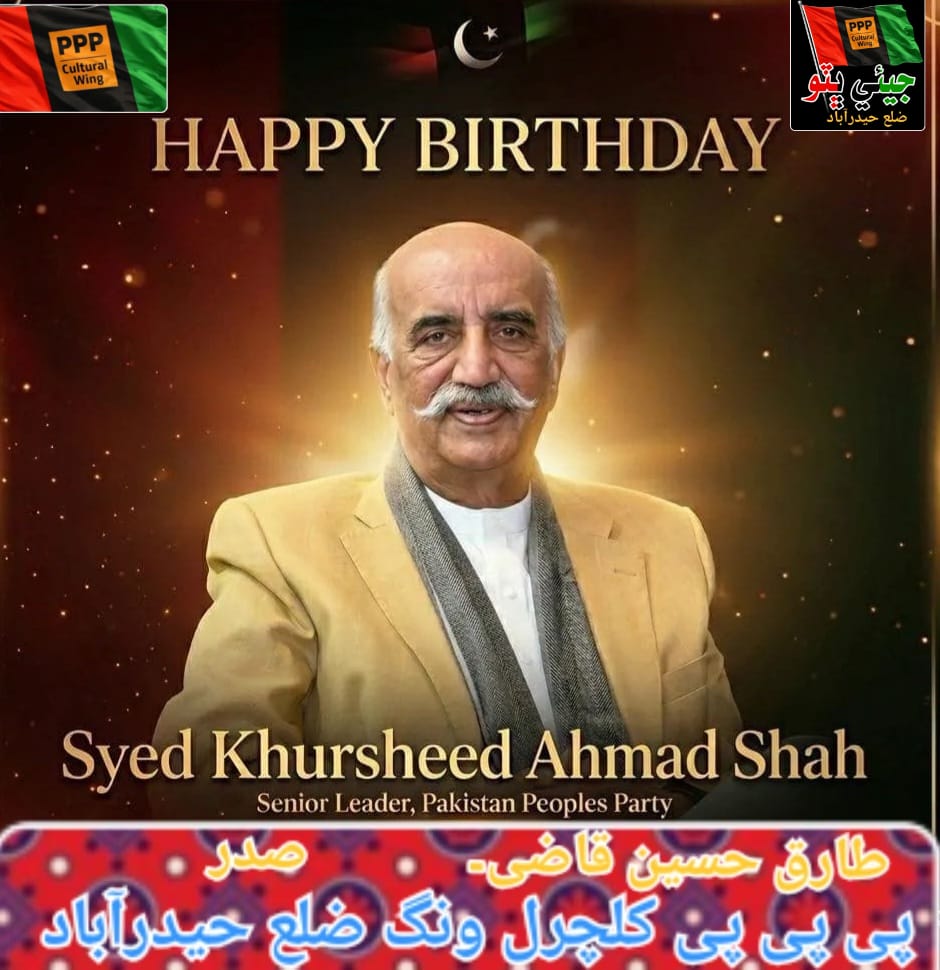 PPP Cultural Wing District Hyderabad tweet media