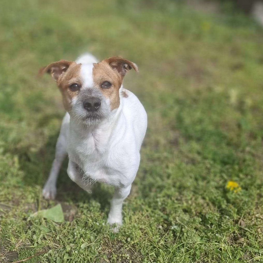 Bawls☆⌒(ゝ。∂) tweet media