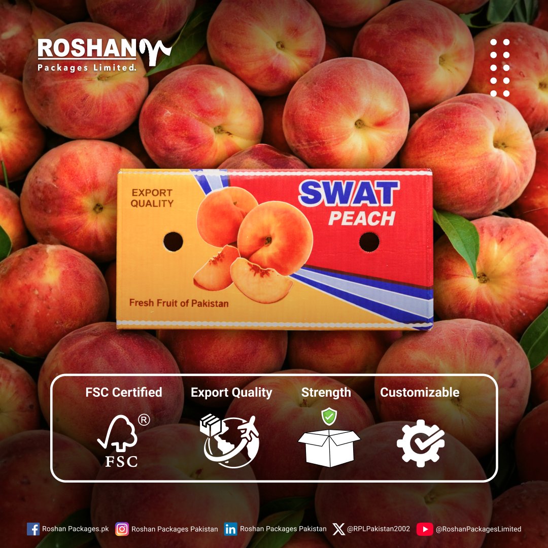 RPLPakistan2002's tweet photo. #RoshanPackagesLimited has been a trusted packaging partner for exporters across Pakistan, delivering high-strength, #ExportQuality peach boxes designed to protect freshness from farm to destination. 
Get your #PeachBoxes now:
📞 +92 317 8886587
📩 marketing@roshanpackages.com.pk https://t.co/4hpKfvuTPS