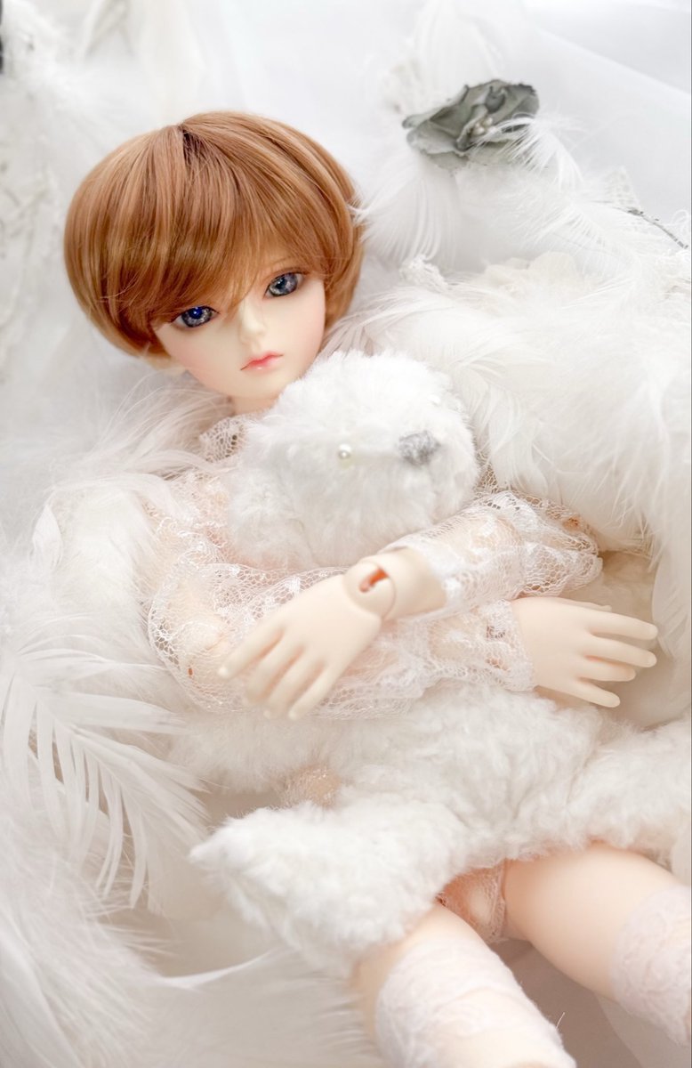 そこにいるだけでかわいい。🪽