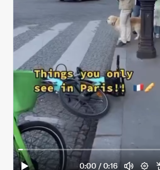 Balec Aldwin 🎮💻🎵🎹🏎🏁 tweet media