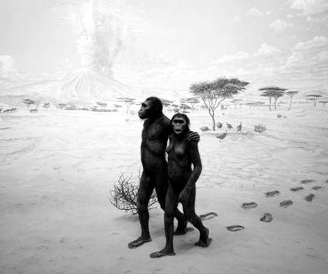 El paraíso existe: lo inventamos nosotros, como a Dios, para que nos desahuciara de tamaño despropósito.