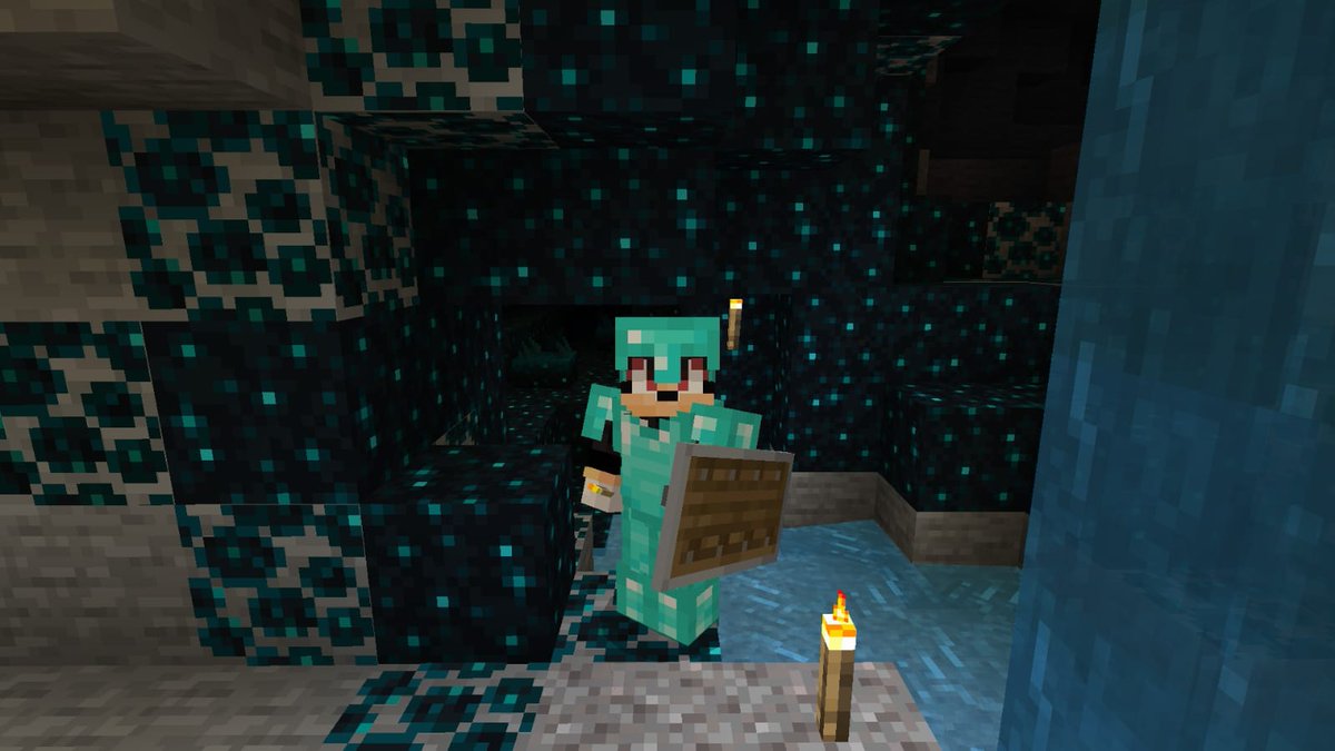 mys_wallman's tweet image. Shado debería dejar de investigar la corrupción en su mundo del maincra.

#Shadow