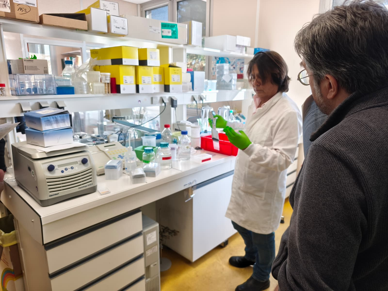 beap_mar's tweet photo. 🧬 Exciting hands-on learning at CEA!

As part of the NRBCE Master's programme Dr Romulo Aráoz led training on cutting-edge neurotoxin detection methods.

This type of training is essential for protecting public health. Great to see BEAP-MAR supporting practical, applied research https://t.co/tw13Qh0X4f