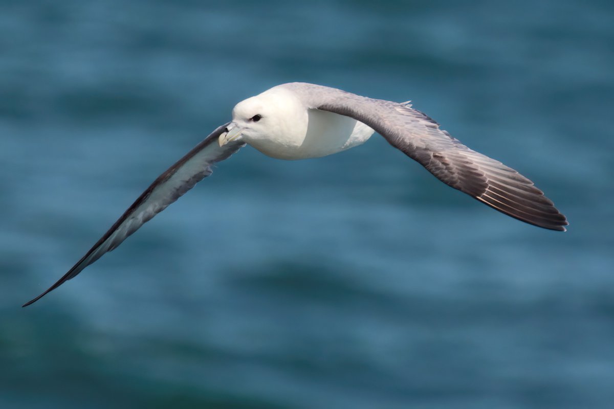 Graham Jaggard tweet media