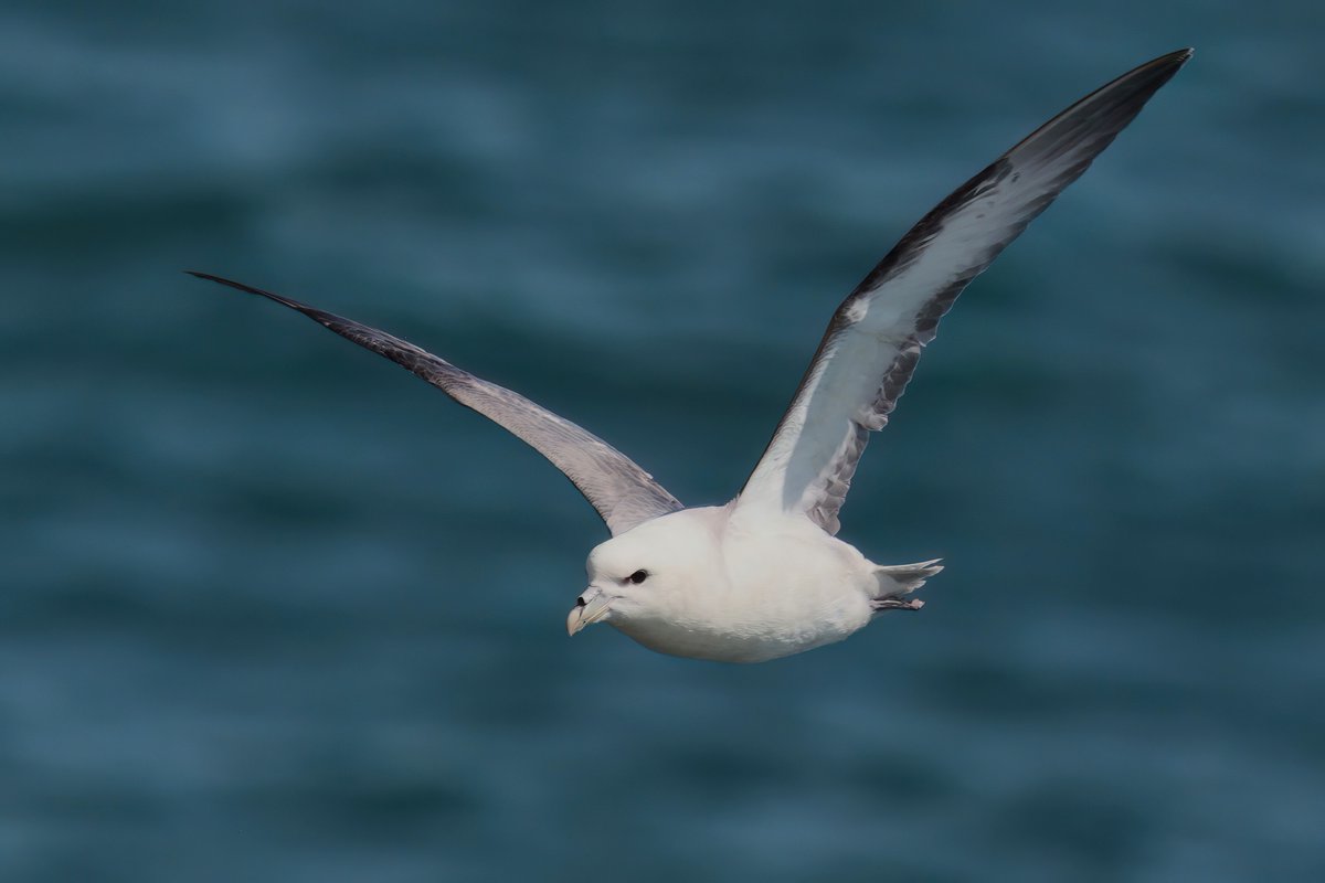 Graham Jaggard tweet media