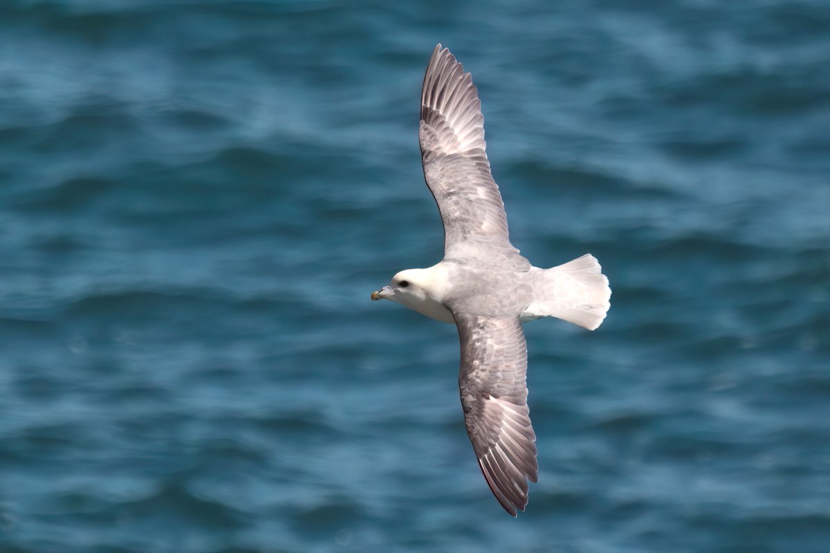 Graham Jaggard tweet media