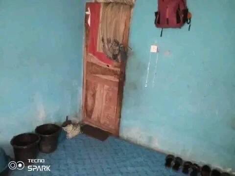 Mr. Balls tweet media