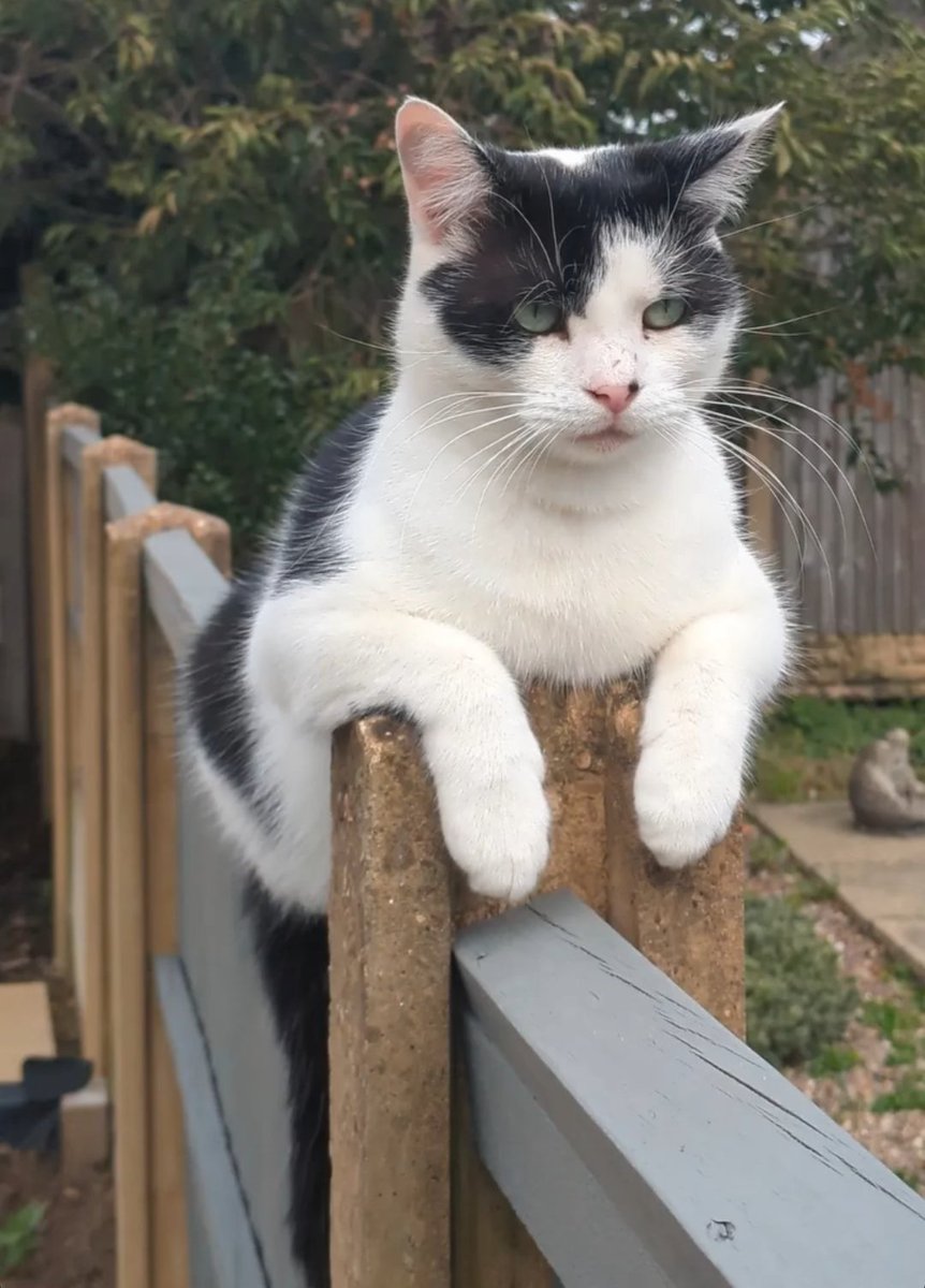 NeverNot tweet media